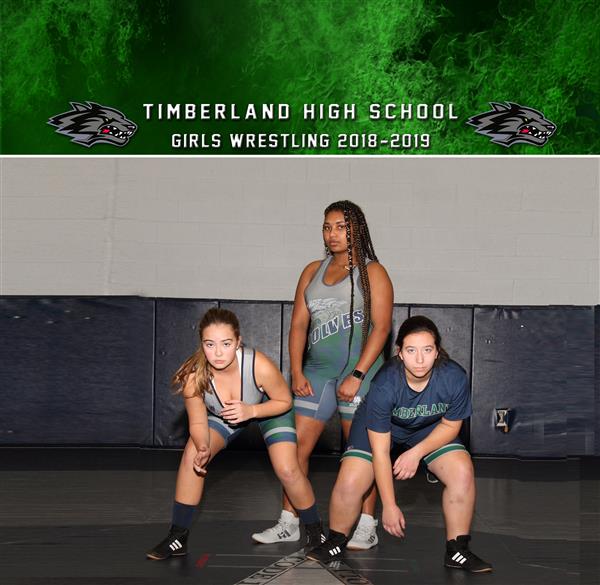 Girls Wrestling 2019 